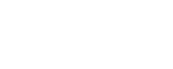 Iron Bison Inc Logo